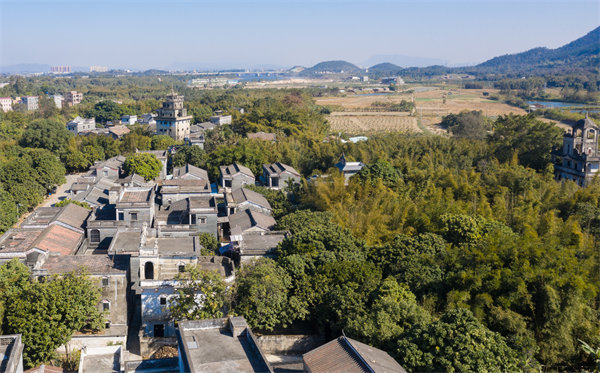 江門管理咨詢公司如何定制高效解決方案？
