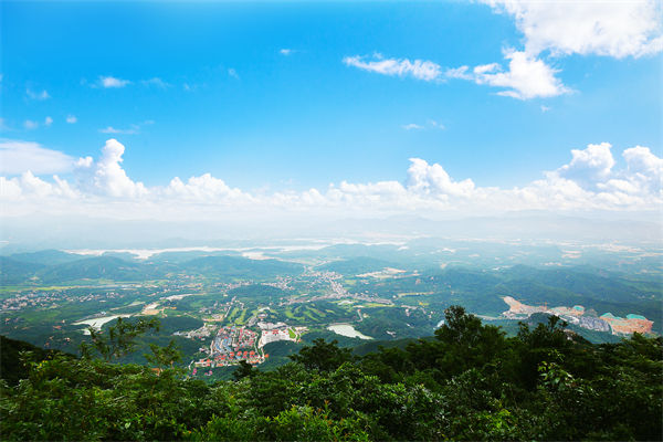 企業(yè)戰(zhàn)略飄在半空落地難，惠州戰(zhàn)略咨詢公司能錨定方向嗎？