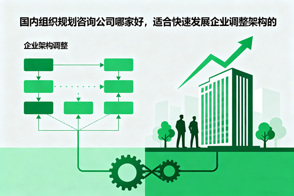 國(guó)內(nèi)組織規(guī)劃咨詢公司哪家好，適合快速發(fā)展企業(yè)調(diào)整架構(gòu)的