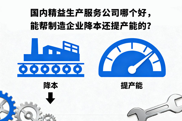 國內精益生產服務公司哪個好，能幫制造企業降本還提產能的？